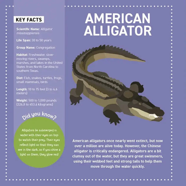 My Sticker Painting Book-Reptiles