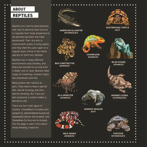 My Sticker Painting Book-Reptiles