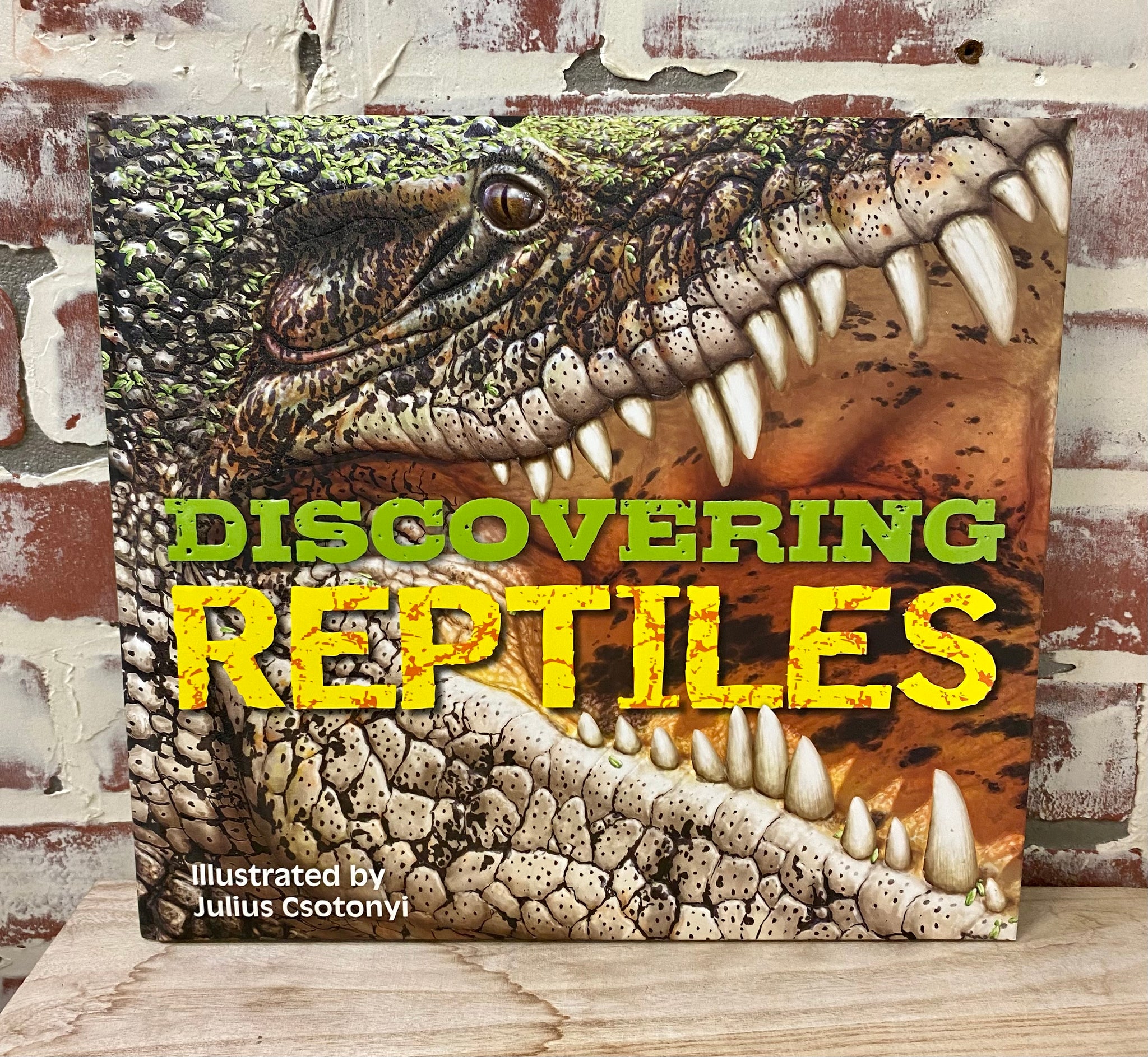 Discovering Reptiles Children’s Book