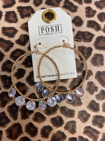 Posh Crystal Hoop Earrings