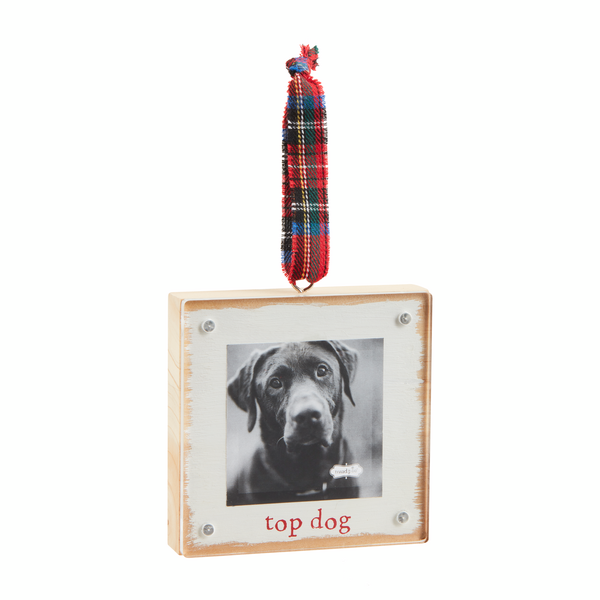 Mudpie Framed Ornaments