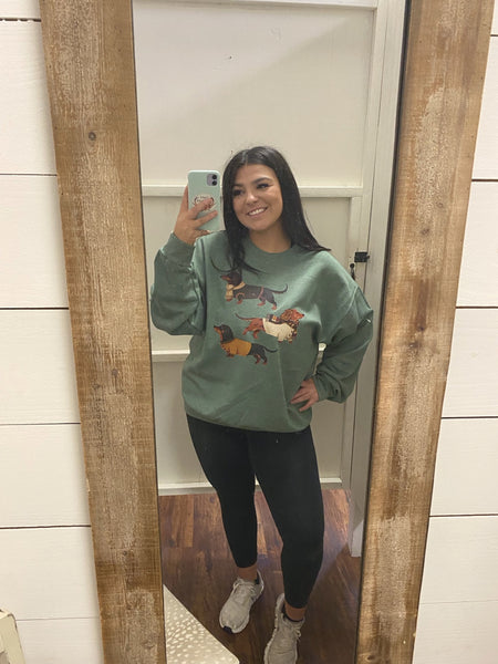 Fall Dash hound Sweatshirt