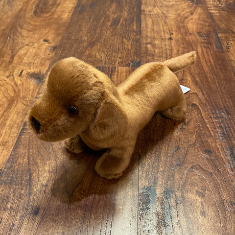 Dilly the Dachshund