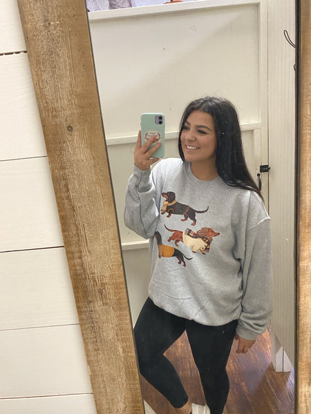 Fall Dash hound Sweatshirt