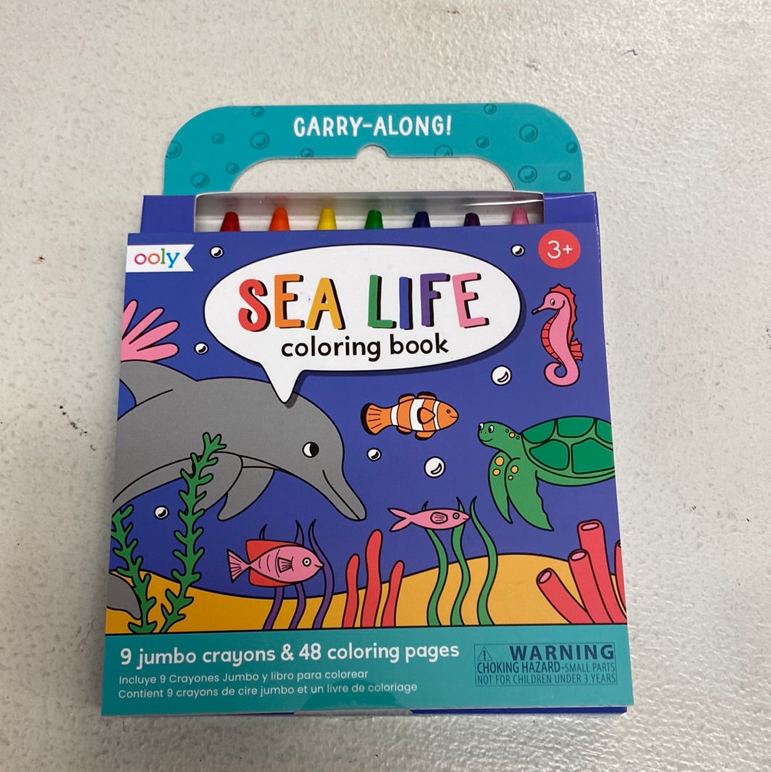 Carry Along Coloring Book